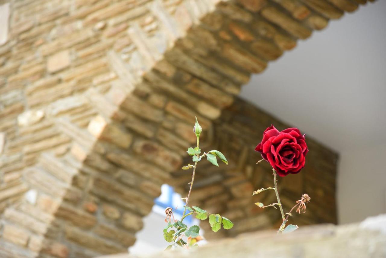 Andros Guesthouses מראה חיצוני תמונה